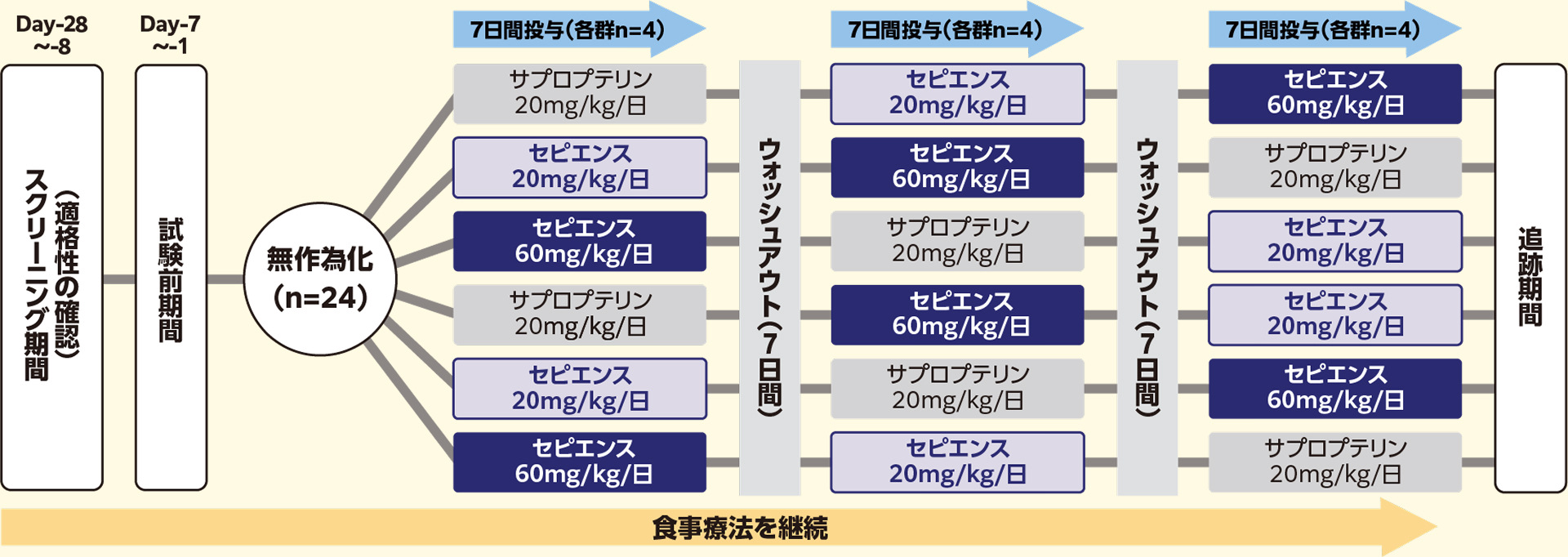 図_無作為化後のセビエンスとサプロテリン投与スケジュール